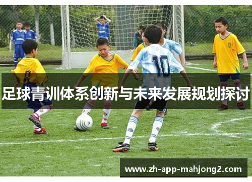 足球青训体系创新与未来发展规划探讨